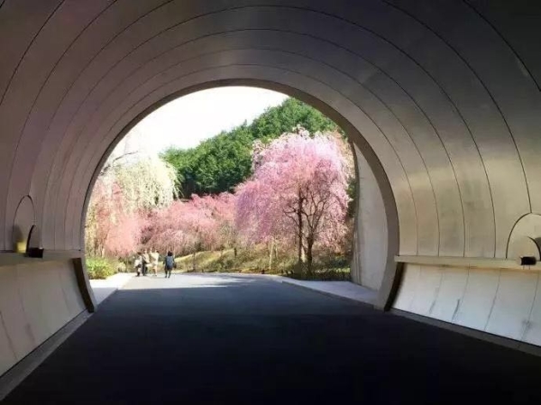 美術(shù)館設(shè)計(jì)作品，這或許是藝術(shù)的最高追求