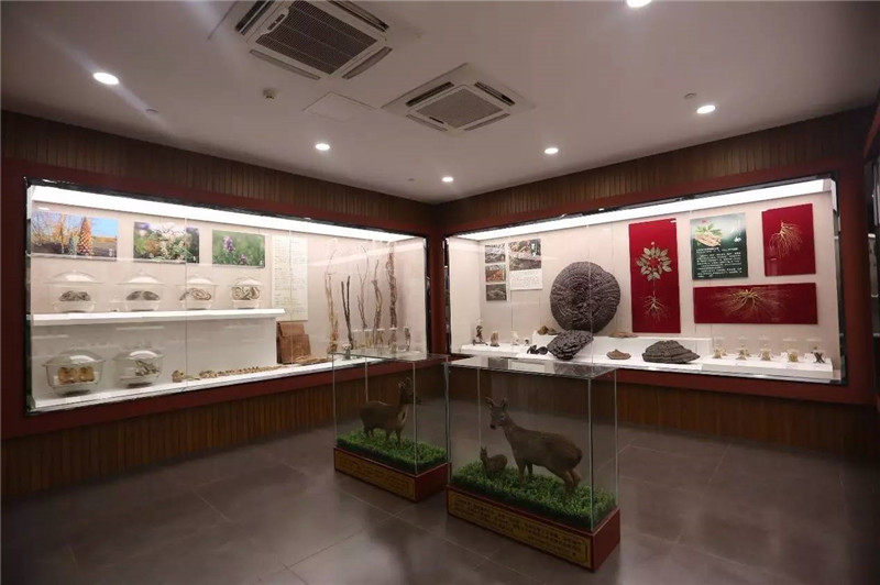 中醫(yī)藥文化館設(shè)計(jì)，中藥醫(yī)學(xué)傳承千年將繼續(xù)綻放光輝