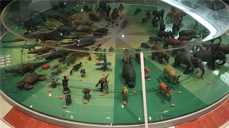 亞洲最大動(dòng)物專(zhuān)題博物館，你知道在哪里嗎？