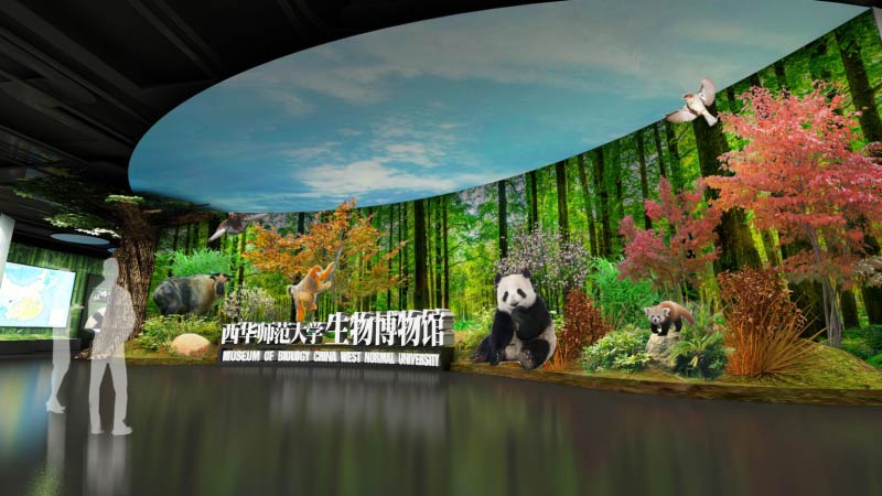 西華師范大學(xué)博物館項目：中展建設(shè)文博一體化服務(wù)標桿