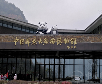 博物館設(shè)計(jì)師在項(xiàng)目中占據(jù)重要角色，設(shè)計(jì)中最該注意什么？