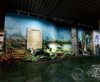 動物博物館設(shè)計要自然化，動物標(biāo)本是如何制作的？